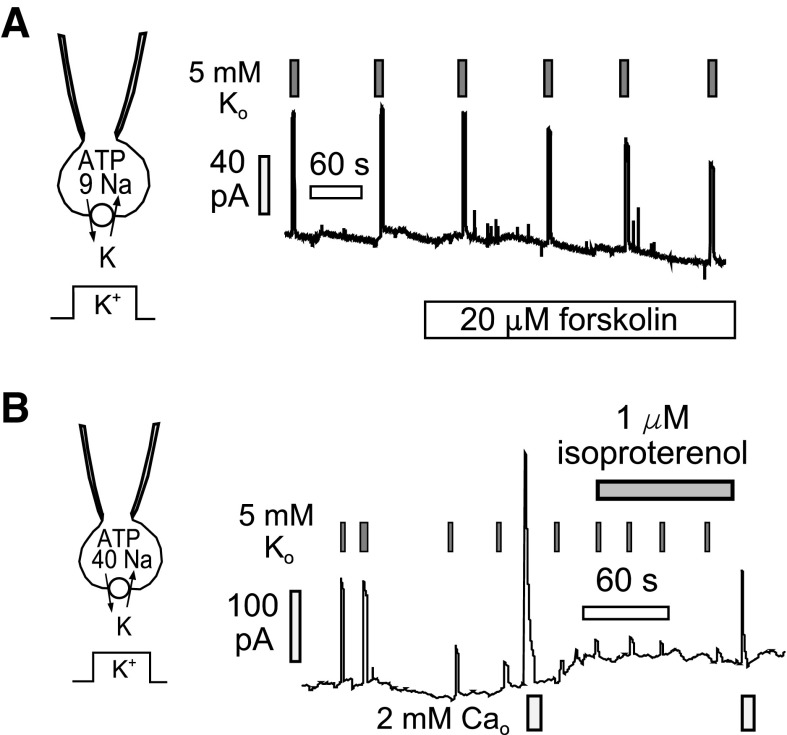 Fig. 7.