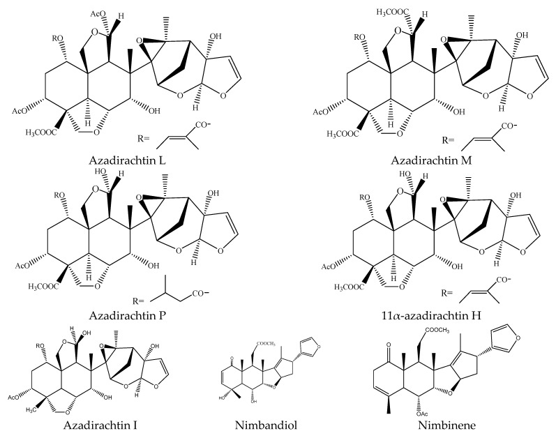 Figure 17