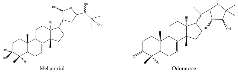 Figure 20