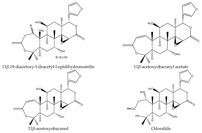 Figure 12