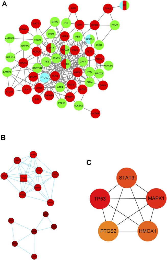 FIGURE 4