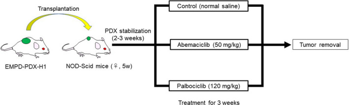 FIGURE 1