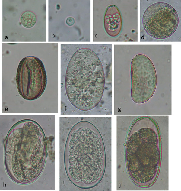 FIGURE 3