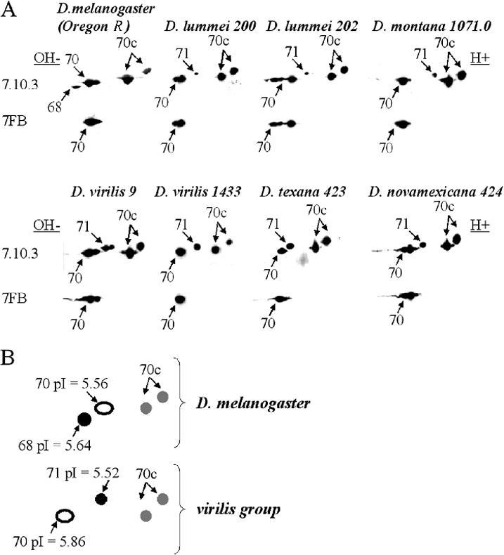 Fig 1.