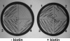 FIGURE 3.