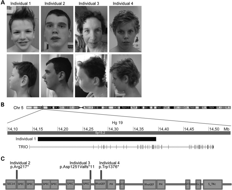 Figure 1.