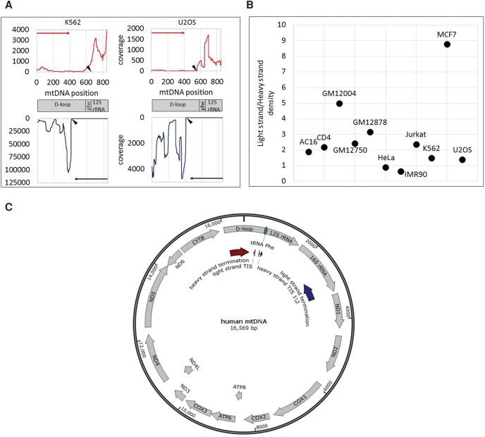 Figure 2.