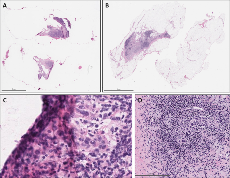 Figure 2: