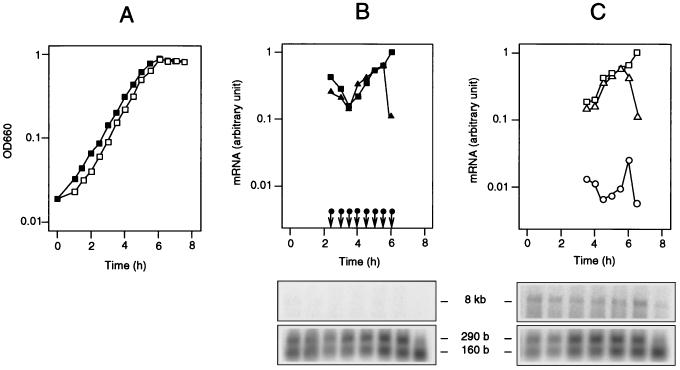 FIG. 7