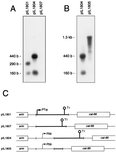 FIG. 5