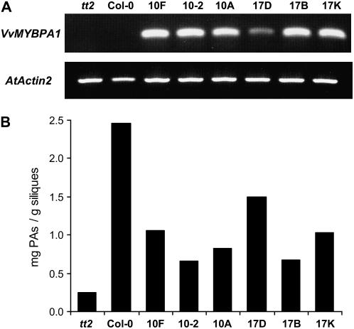 Figure 6.