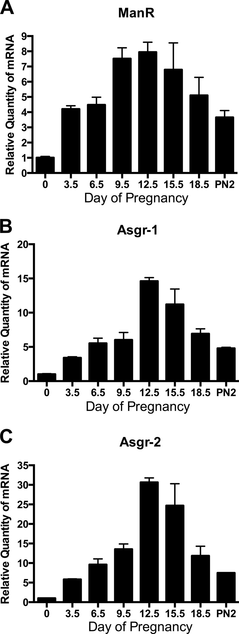 FIGURE 1.