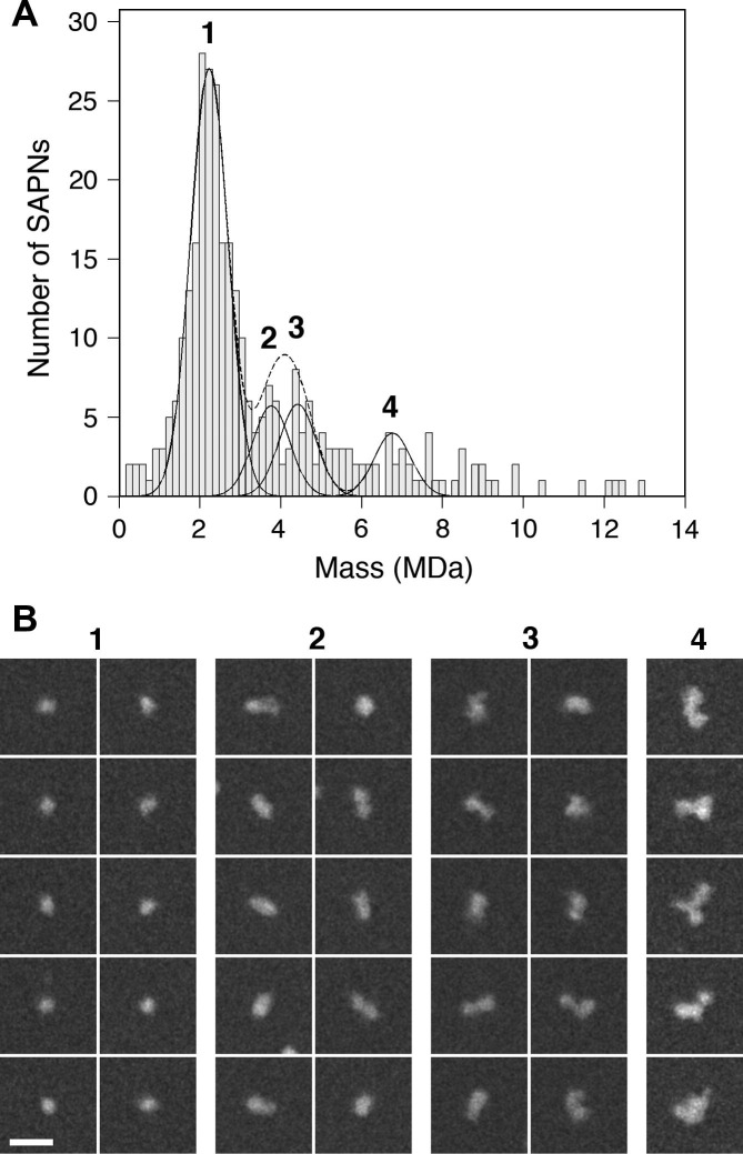 Fig.4