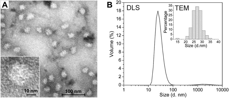 Fig.3