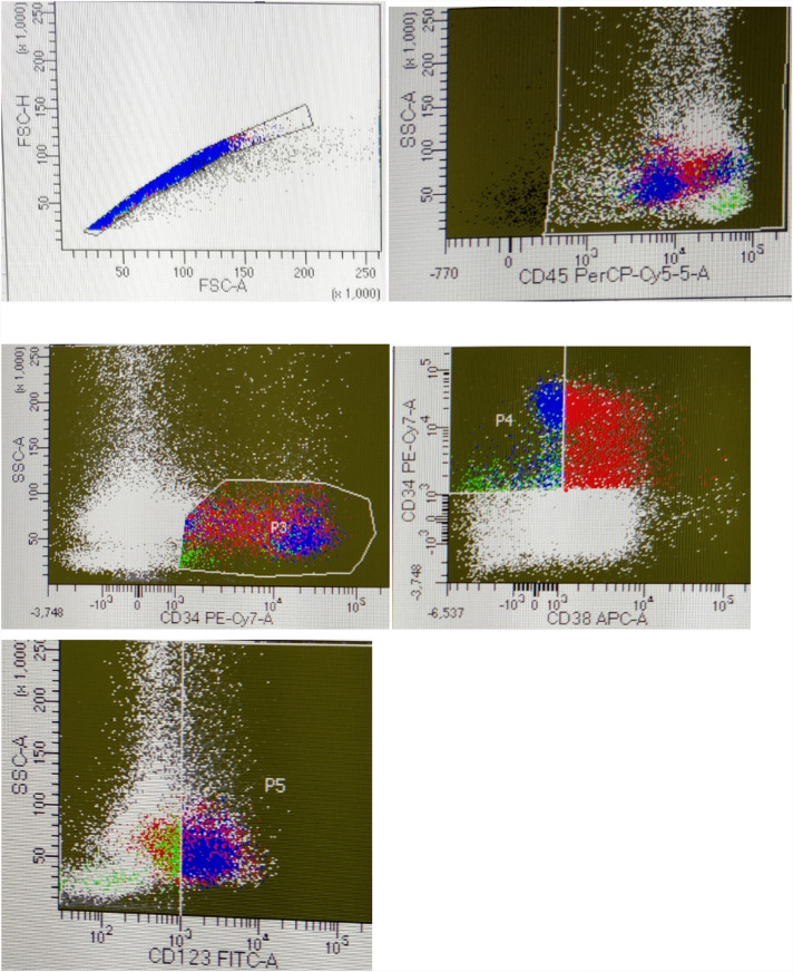 Fig. 2