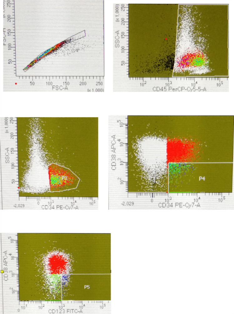 Fig. 1