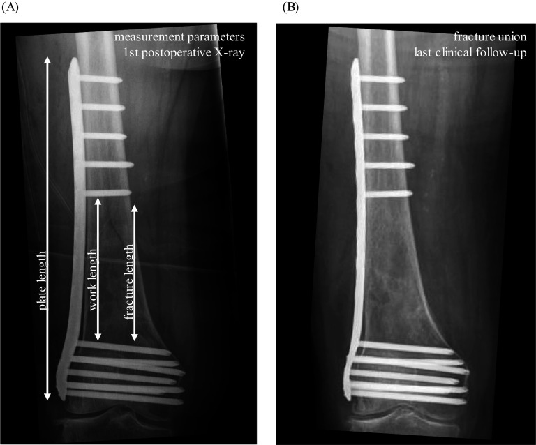 Fig. 4