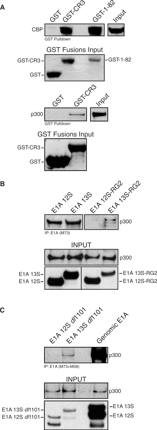 Figure 7.