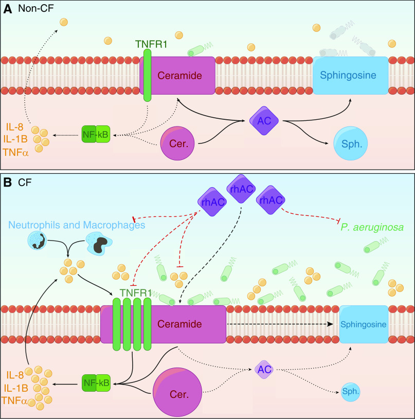 Figure 9.