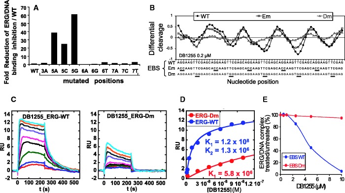 Figure 6.