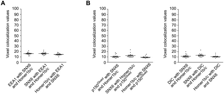 Figure 4—figure supplement 1.