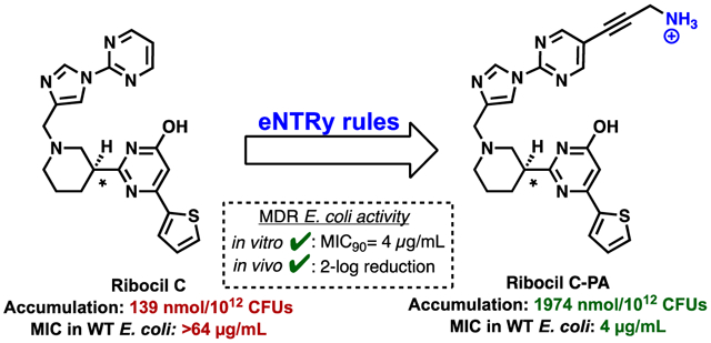 graphic file with name nihms-1596372-f0001.jpg