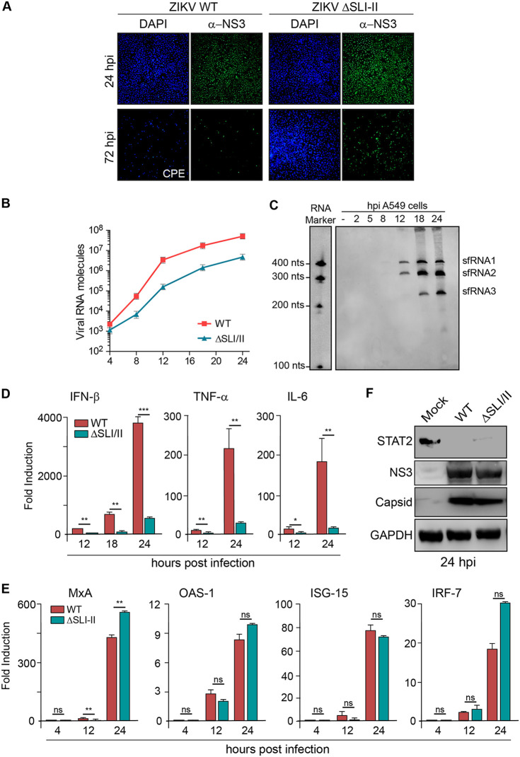 FIG 6