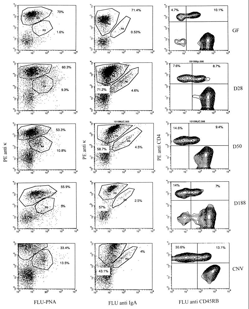 FIG. 1