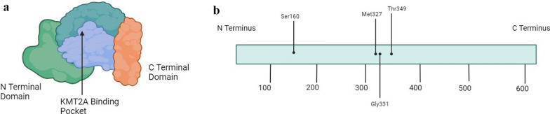 Fig. 2