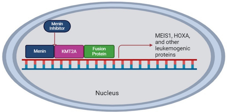 Fig. 1