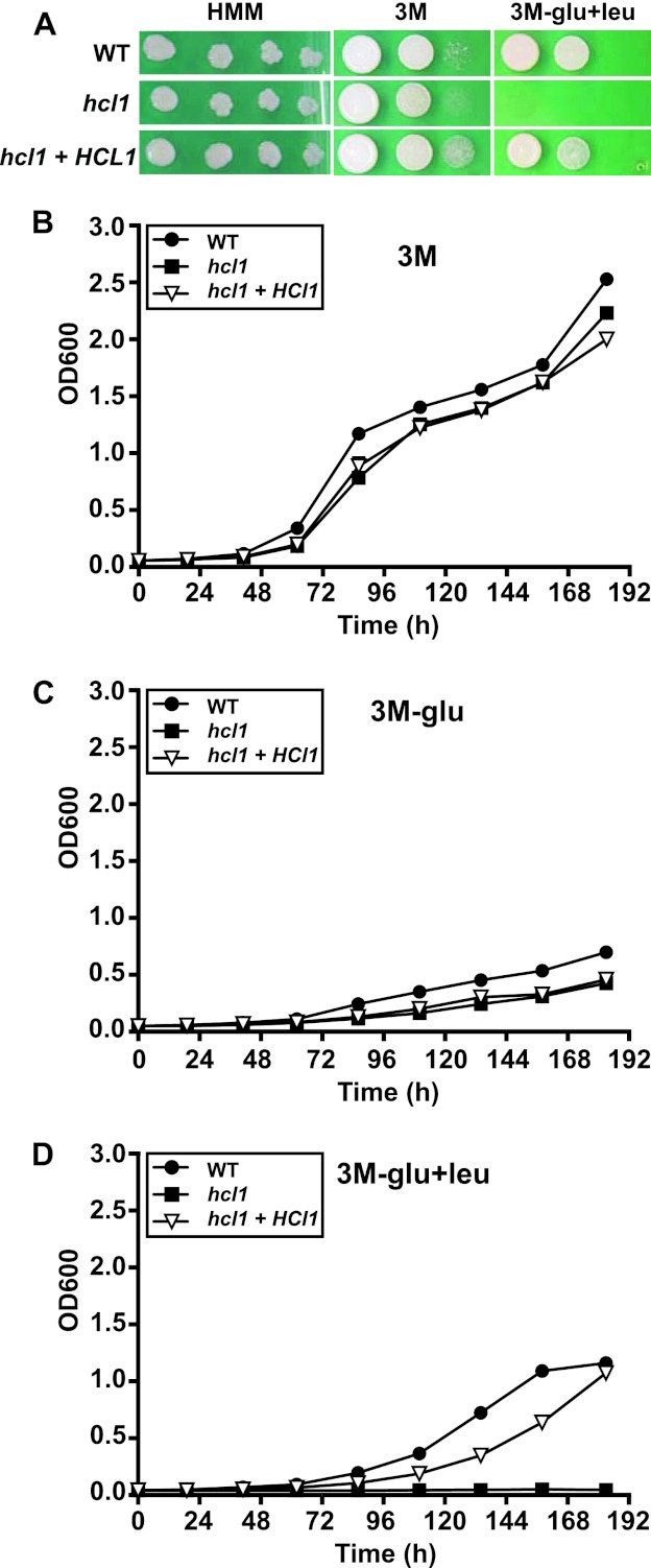 Fig 4