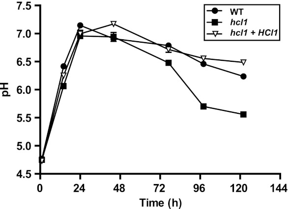 Fig 5