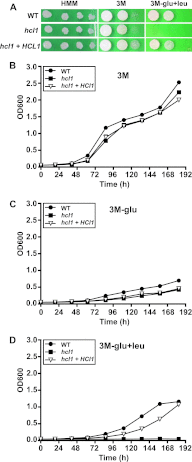 Fig 4