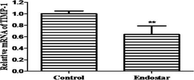 Figure 5B