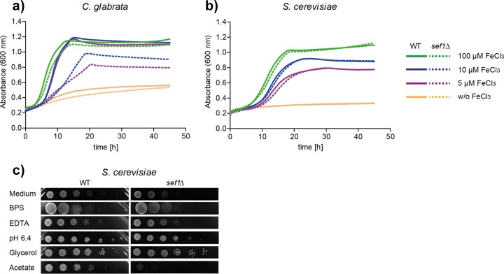 FIG 3 