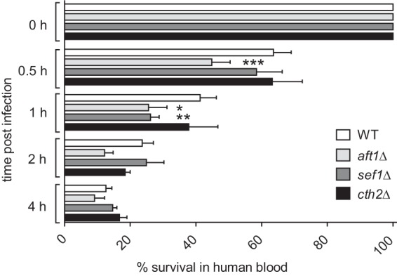 FIG 6 