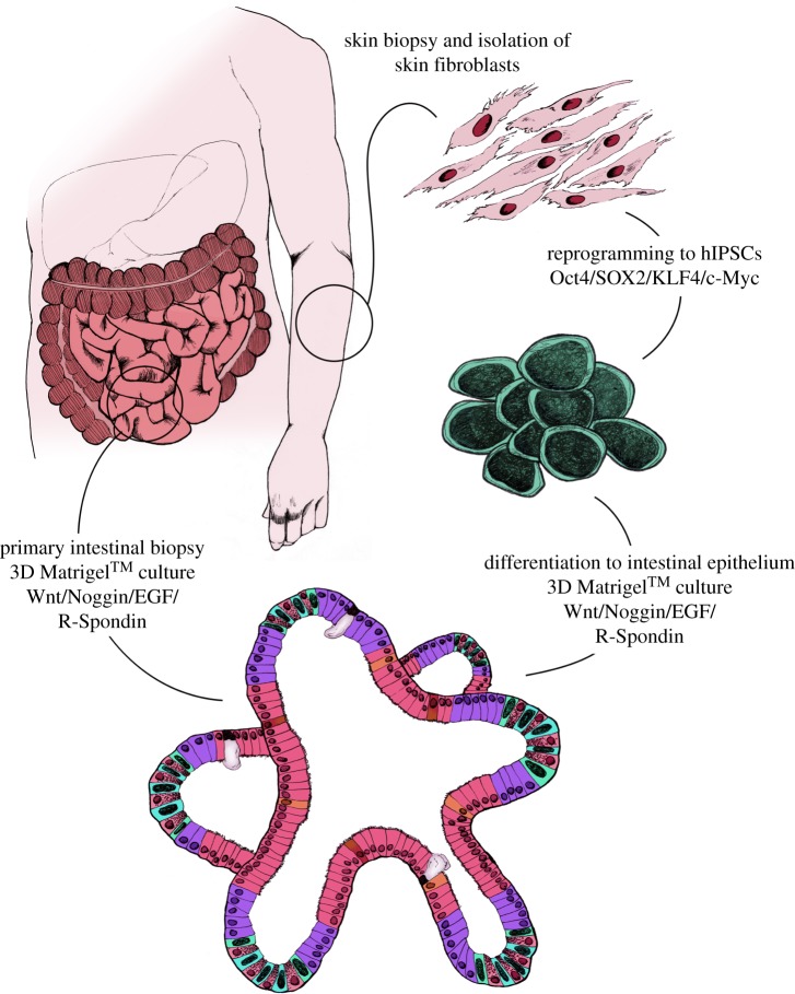 Figure 3.