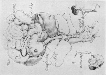 FIG. 5.