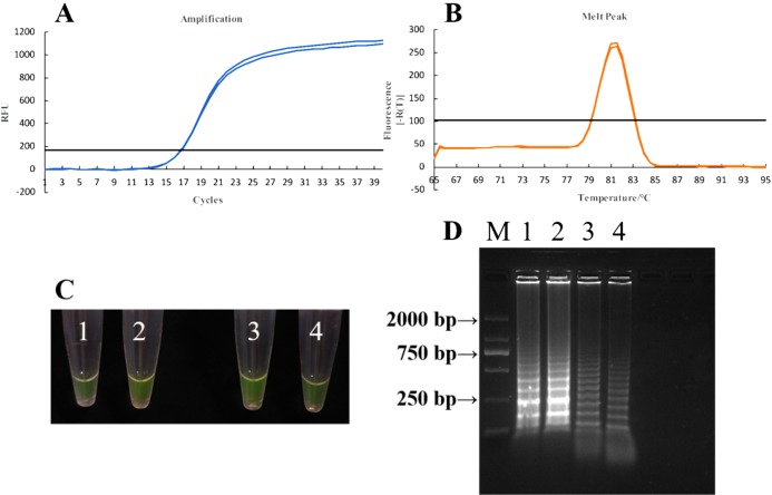 Figure 12