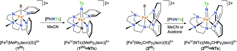 Scheme 1