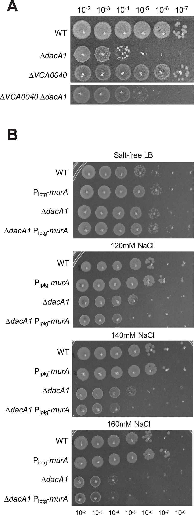 Figure 6.