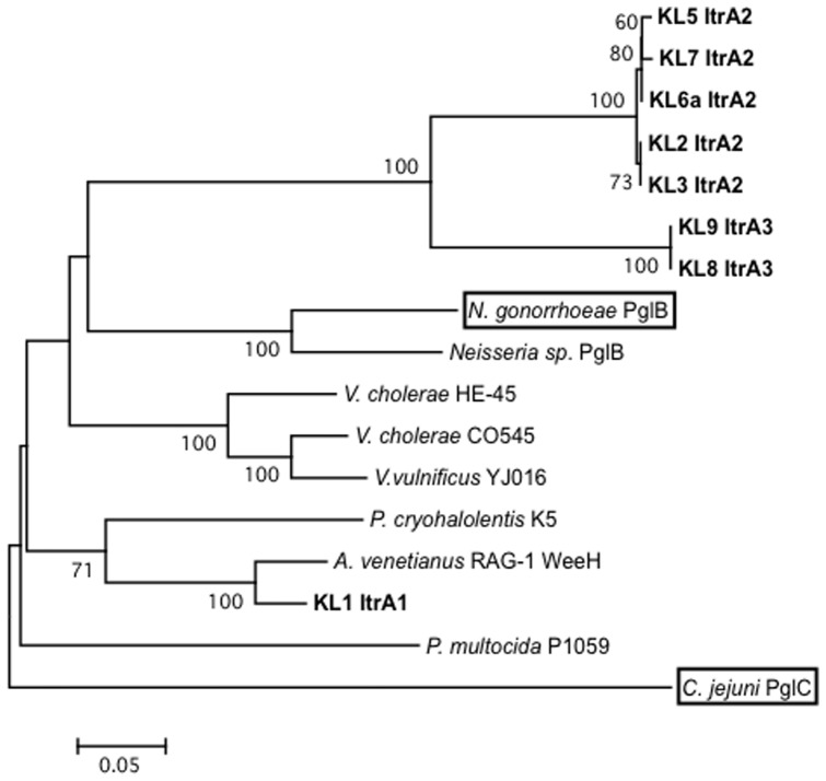 Figure 7