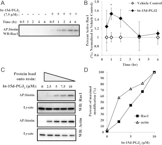 Fig. 4