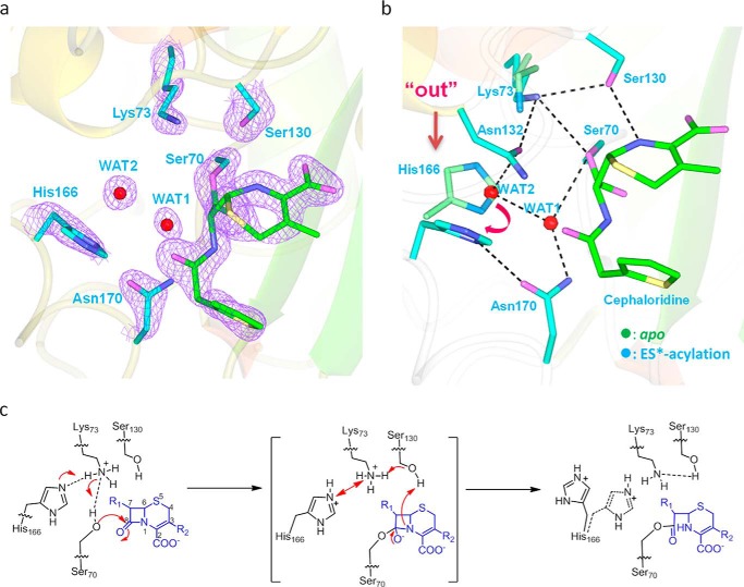 FIGURE 4.