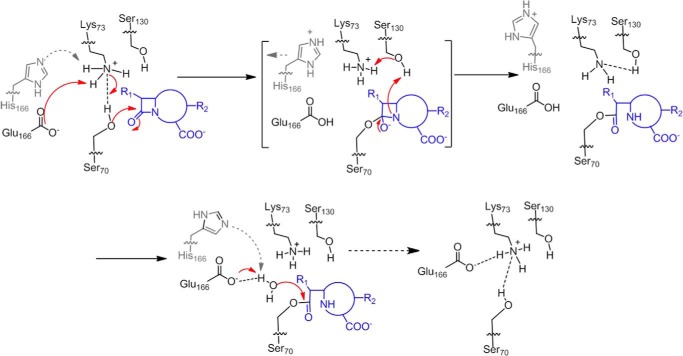 FIGURE 7.