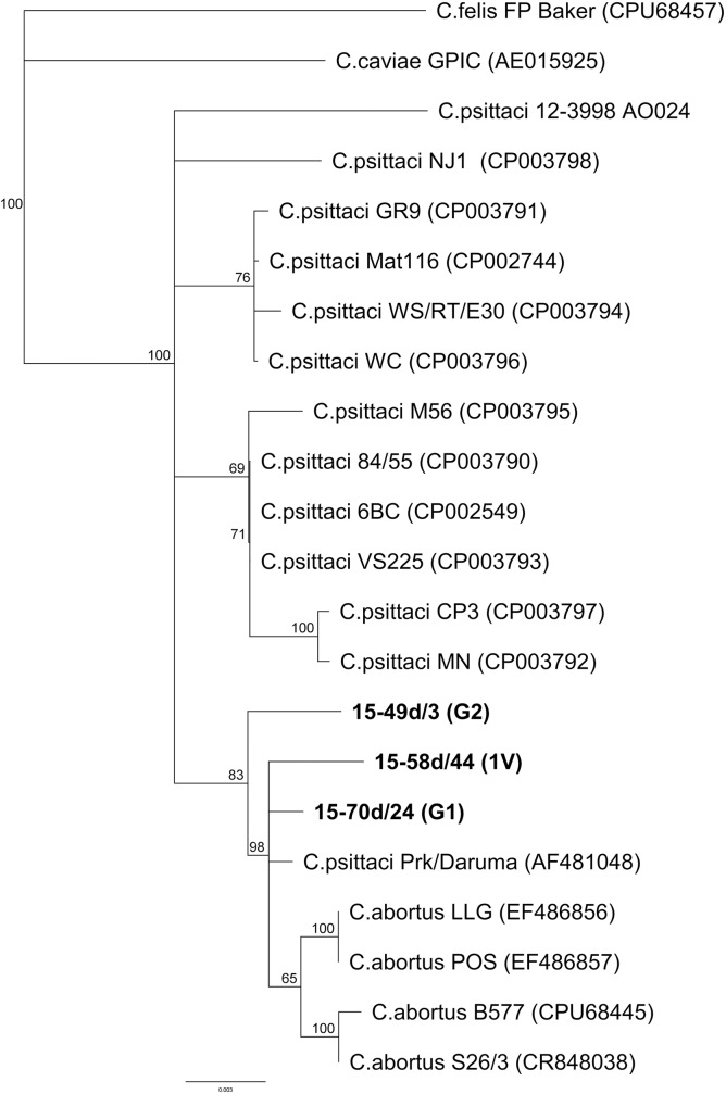 Fig 3