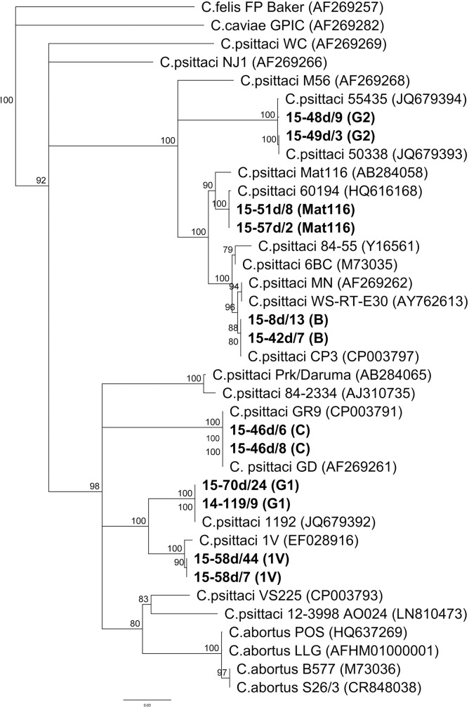 Fig 2