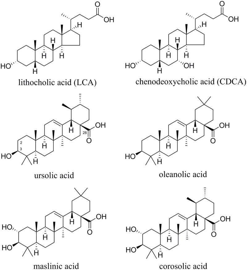 FIGURE 1