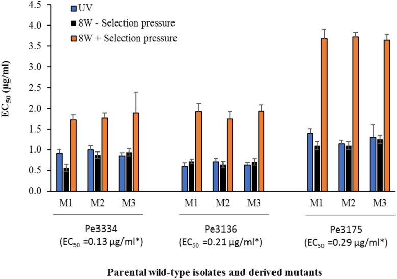 FIGURE 2