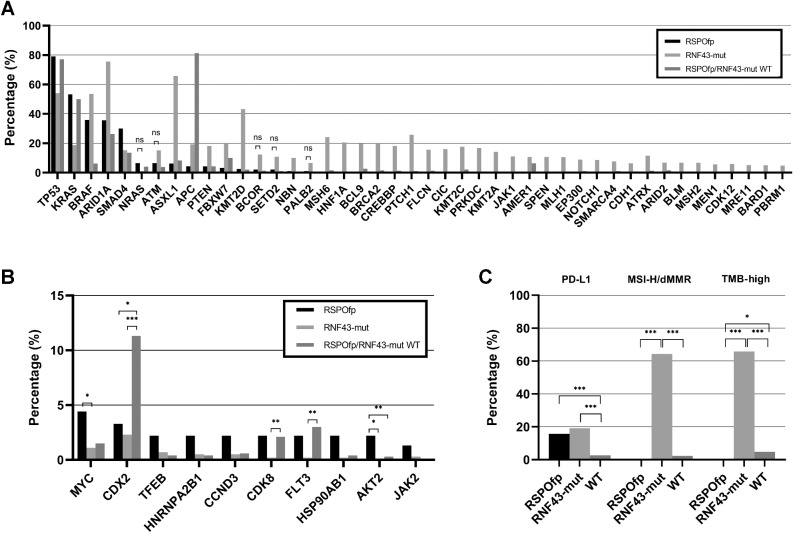 Figure 2. Molecular landscape of the discovery cohort. A, Comparison of the genetic landscape of RNF43-mut, RSPOfp, and RNF43/RSPOfp-WT tumors. Shown are mutations that are significantly different between RSPOfp and RNF43-mut tumors (all q < 0.05; ns: P < 0.05, but q < 0.05 was not reached). B, Copy-number alterations in RNF43-mut, RSPOfp, and RNF43/RSPO-WT tumors. *, q < 0.05; **, q < 0.01; and ***, q < 0.001. C, MSI, TMB, and PDL-1 status in RNF43-mut, RSPOfp and RNF43/RSPOfp-WT tumors. None of the RSPOfp patients showed a TMB >10 mt/Mb or an MSI-H/dMMR status.*, q < 0.05; **, q < 0.01; and ***, q < 0.001.